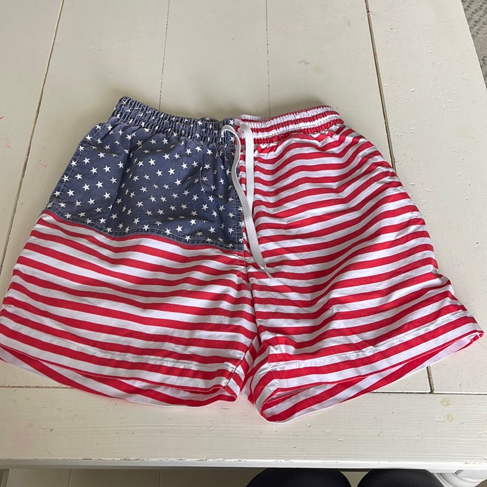 Men’s chubbies swim trunks